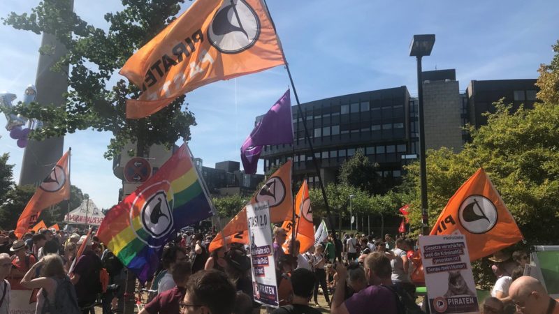 Piraten bei der NoPolGNRW Demo vor dem Landtag.